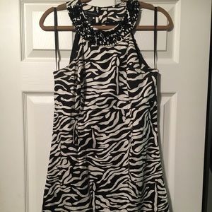 Zebra black and white zebra dress